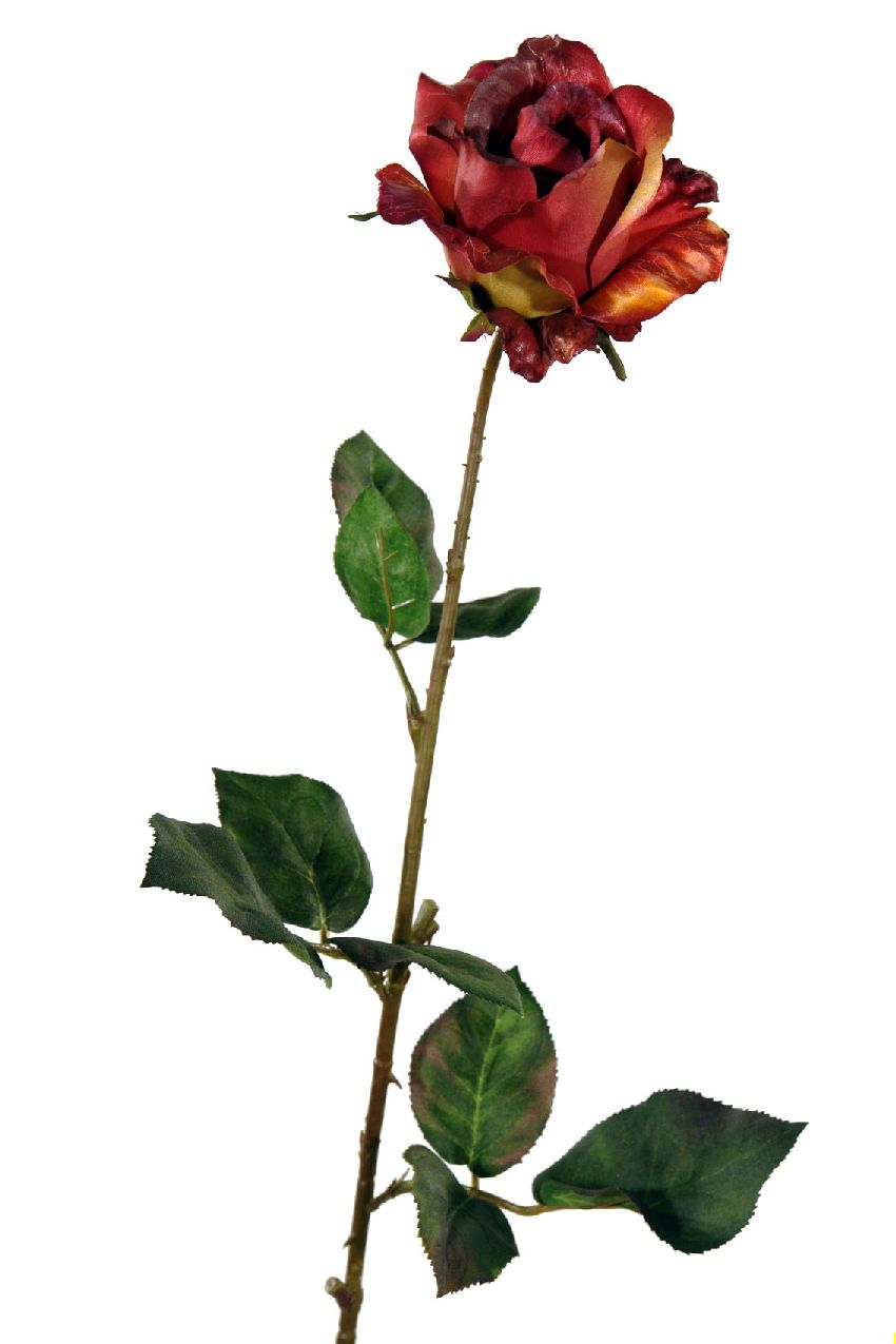 1238245.jpg Rosa Chic burdeos - Ø9x75cm - Imagen 1
