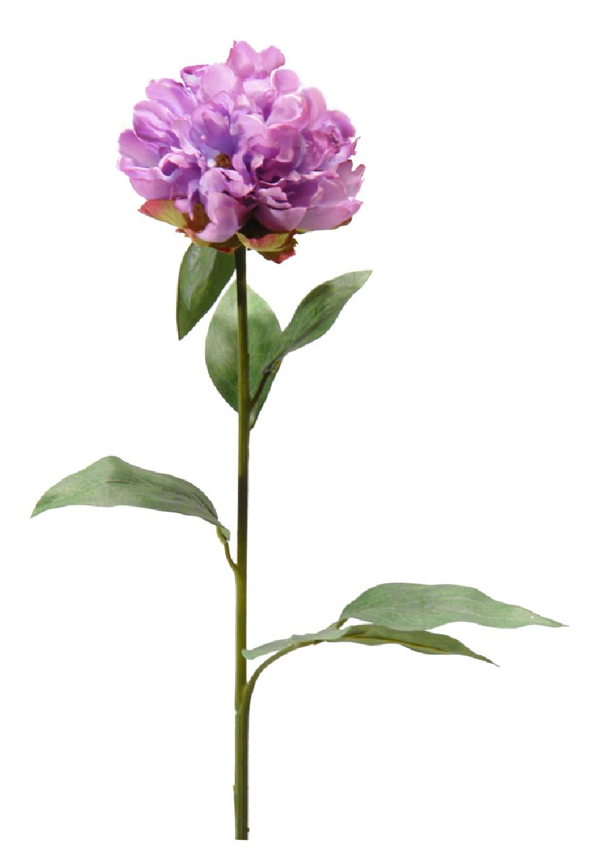 1238306.jpg Peonia Cesar lila - Ø14x81cm - Imagen 1