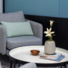 Lilium casablanca Roma crema - Ø20x88cm