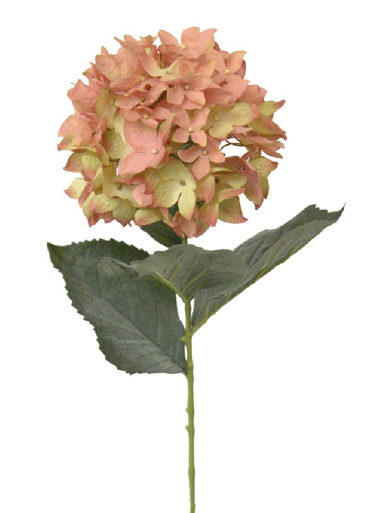 1238414.jpg Hortenisa Roma rosa - Ø16x72cm - Imagen 1