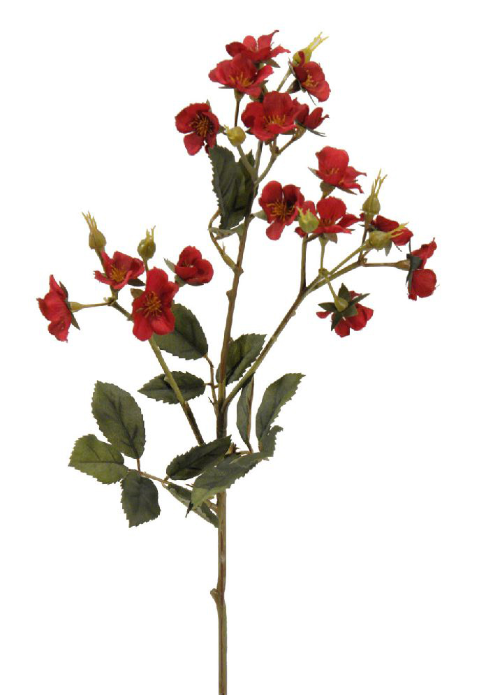 1238445.jpg Rosita Roma roja - 65cm - Imagen 1
