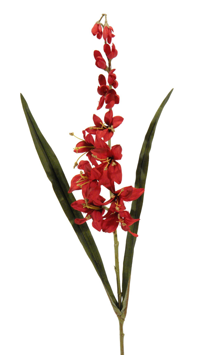 1238455.jpg Crocosmia Roma roja - 82cm - Imagen 1