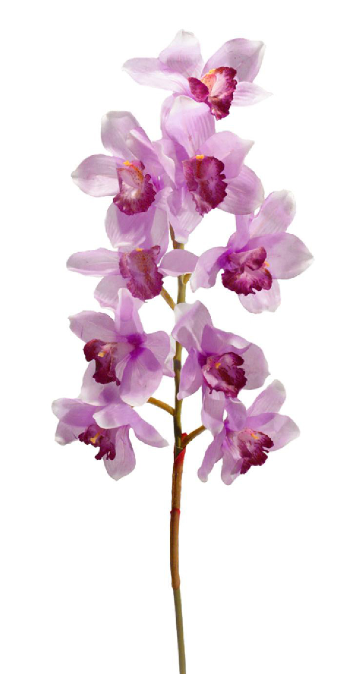1238616.jpg Cymbidium goma lila - Ø11x90cm - Imagen 1
