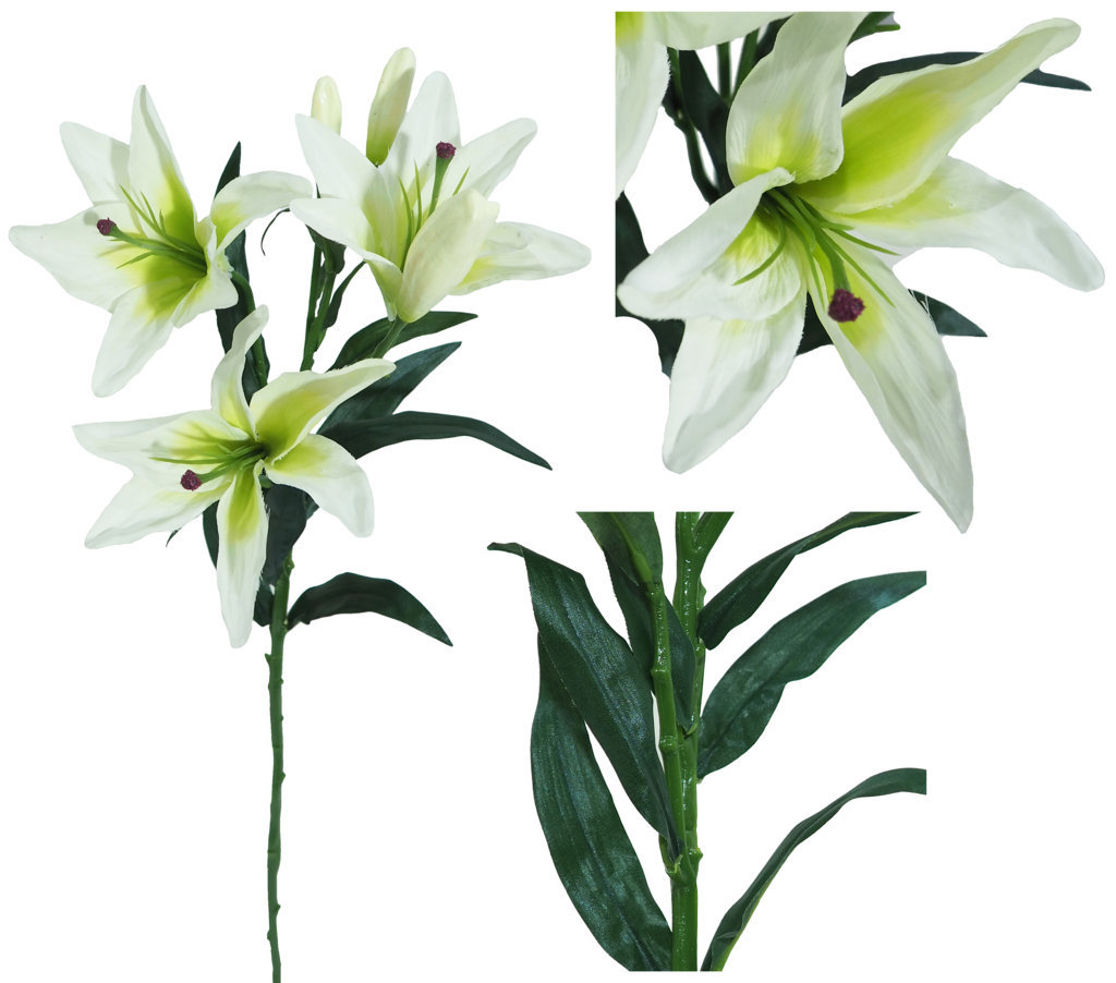 1238620.jpg Lilium crema - Ø13x70cm - Imagen 1