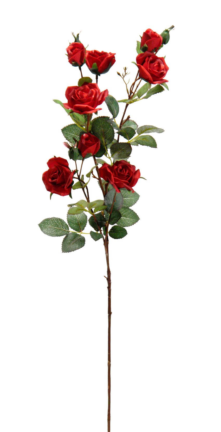 1238645.jpg Rosita roja - 80cm - Imagen 1