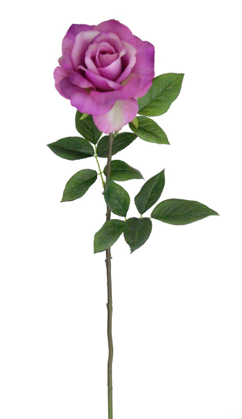 1239016.jpg Rosa lavanda goma - Ø12x70cm - Imagen 1