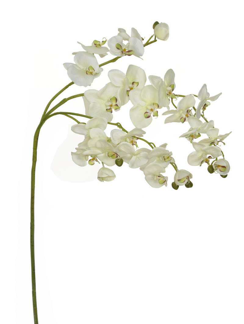 1239060.jpg Orquídea xxl crema - 140cm - Imagen 1