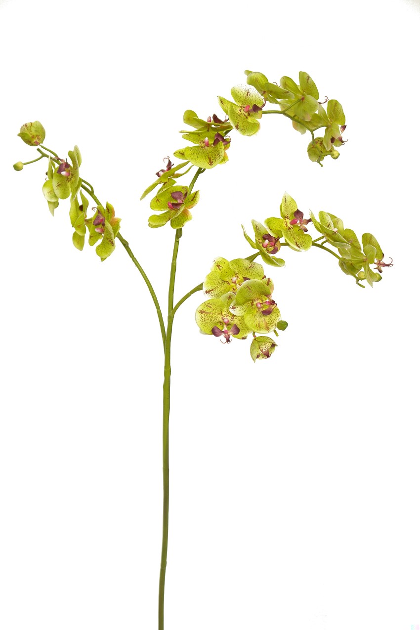 1239061.jpg Orquídea XXL verde - 140cm - Imagen 1