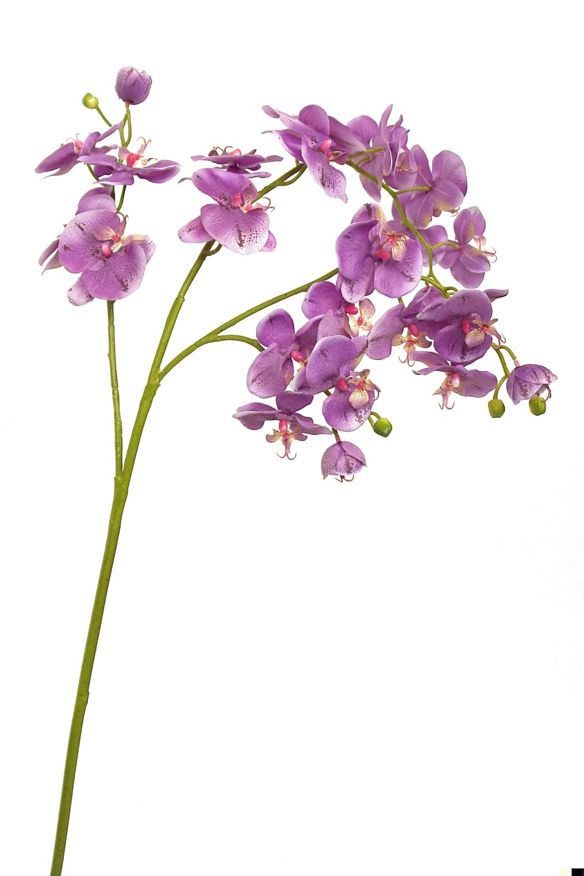 1239066.jpg Orquídea XXL lavanda - 140cm - Imagen 1