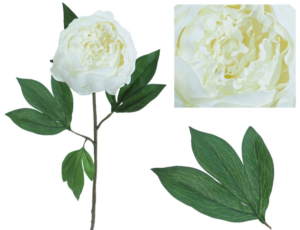 1239080.jpg Peonia Capri crema - Ø16x80cm - Imagen 1
