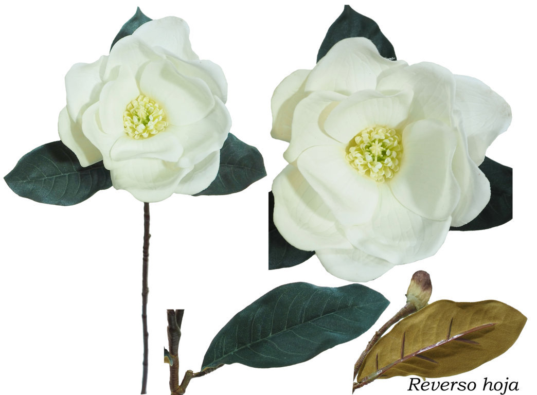 1239090.jpg Magnolia goma crema - Ø13x70cm - Imagen 1