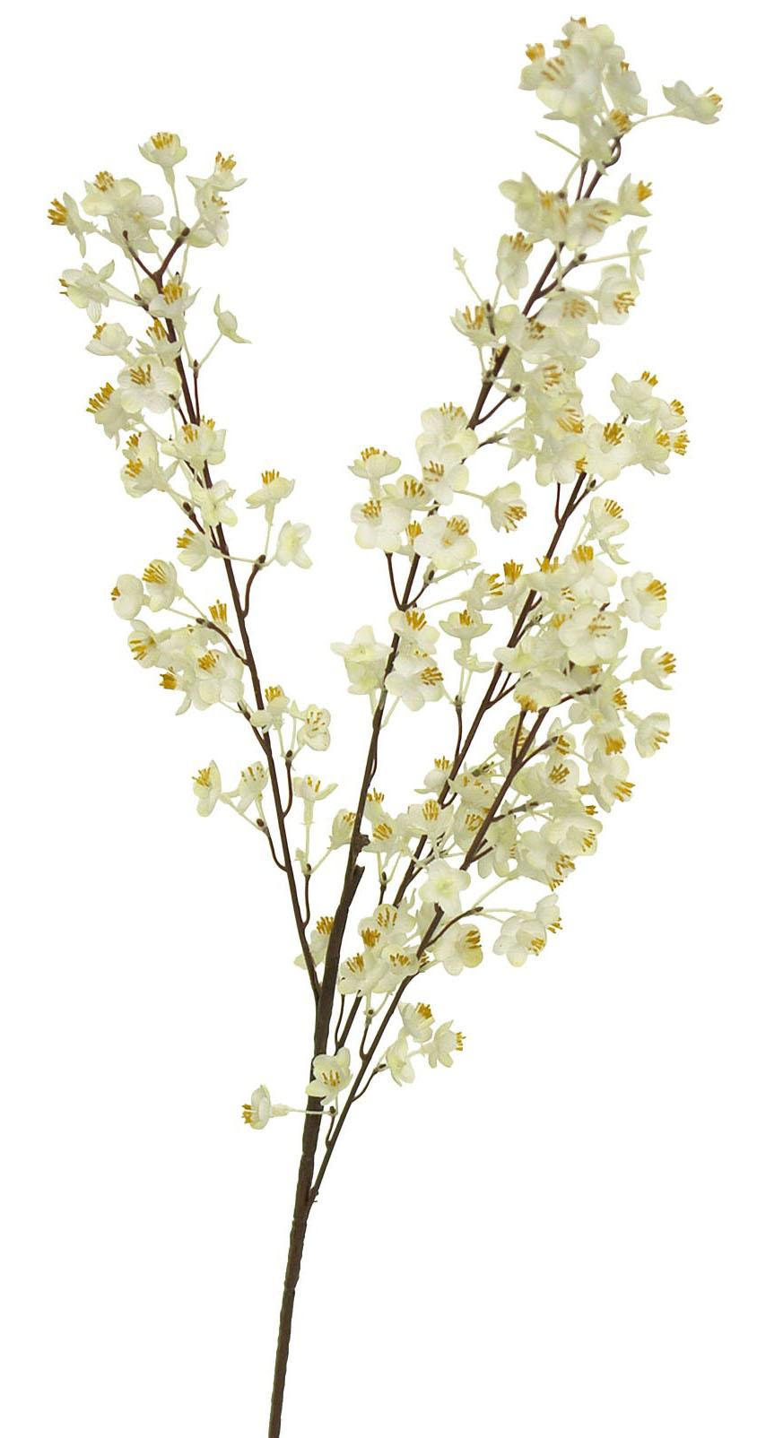 1239130.jpg Almendro crema - 90cm - Imagen 1