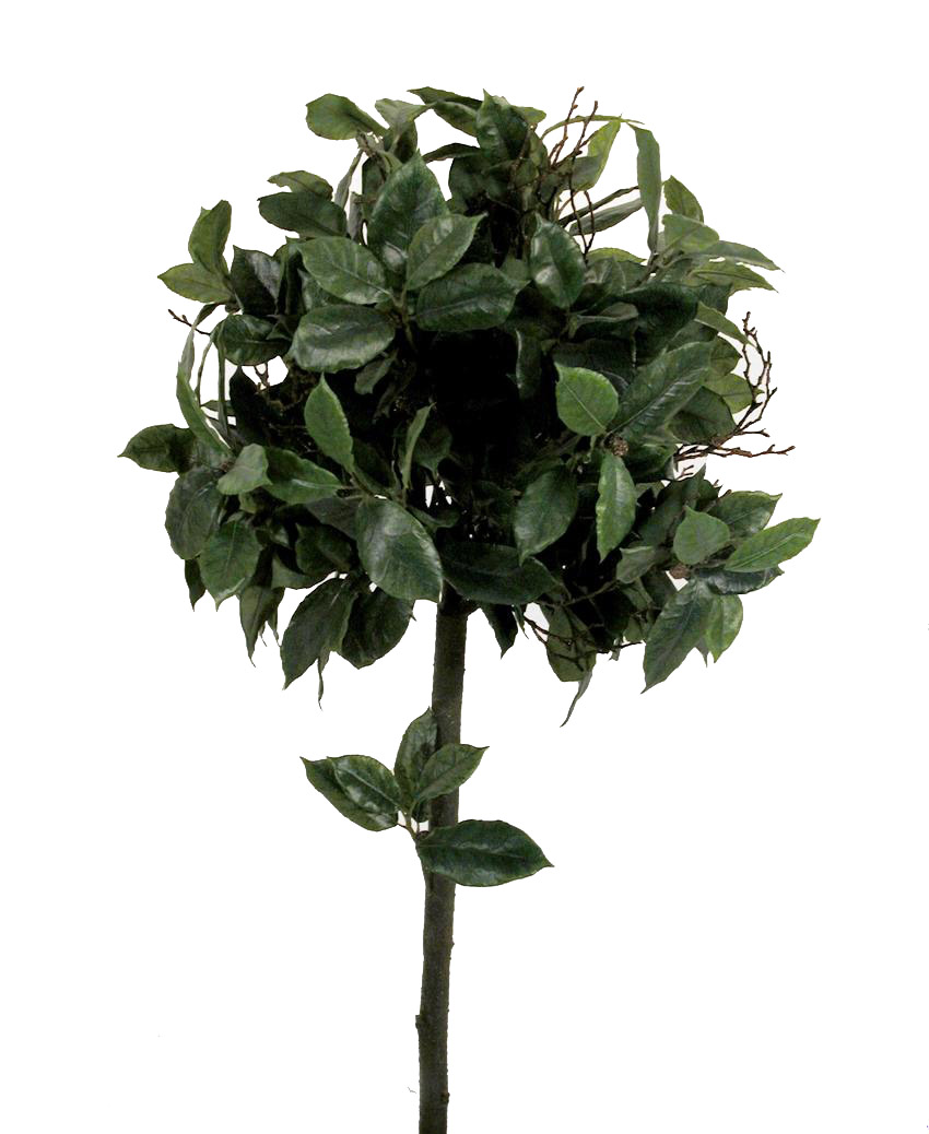 1271180.jpg Arbol de Laurel bola con fruto - 75cm - Imagen 1