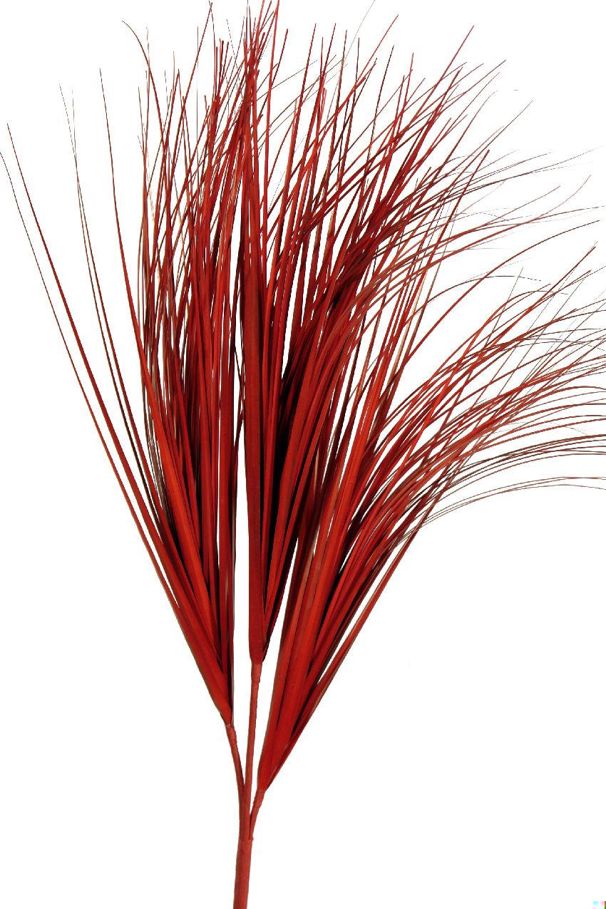 1274585.jpg Hierba roja - 130cm - Imagen 1