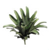 Cuerno de alce - 38cm