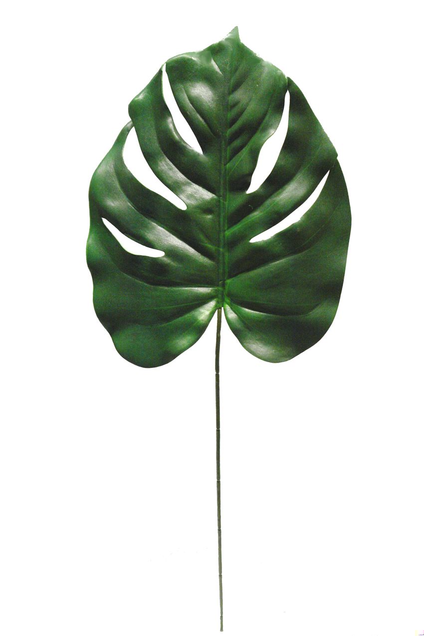 1275271.jpg Hoja de philo verde goma Eva - 24x30x70cm - Imagen 1