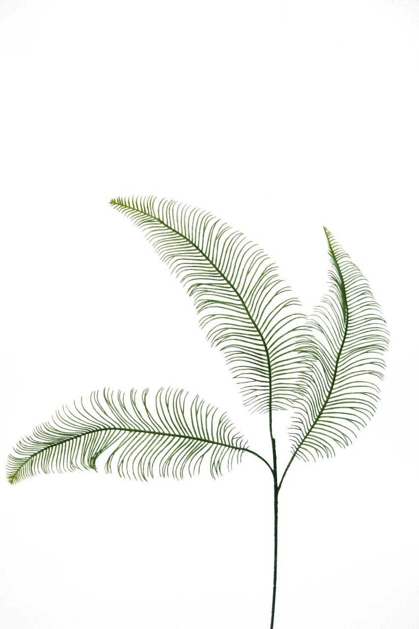 1275440.jpg Hoja de Helecho verde plastico - 70cm - Imagen 1