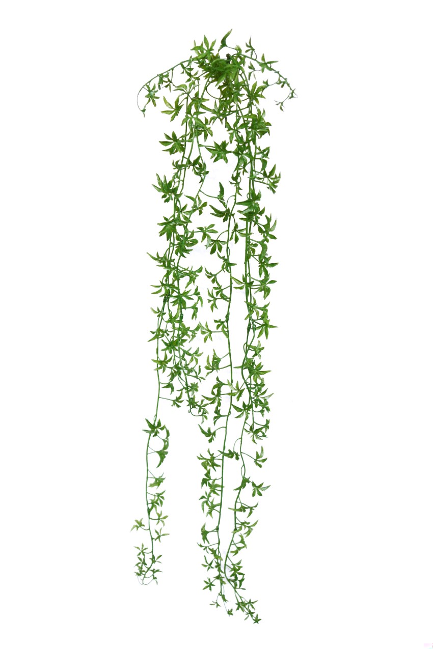 1275460.jpg Aralia mini colgante plastico - 90cm - Imagen 1