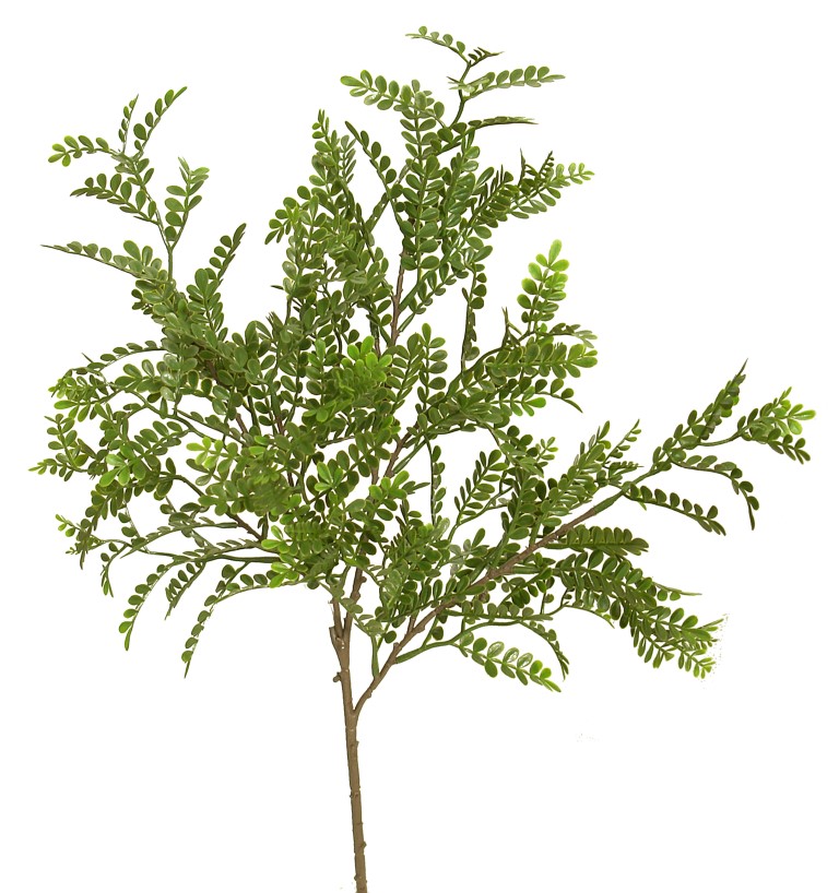 1275580 Rama de Algarrobo verde plastico - 55cm - Imagen 1