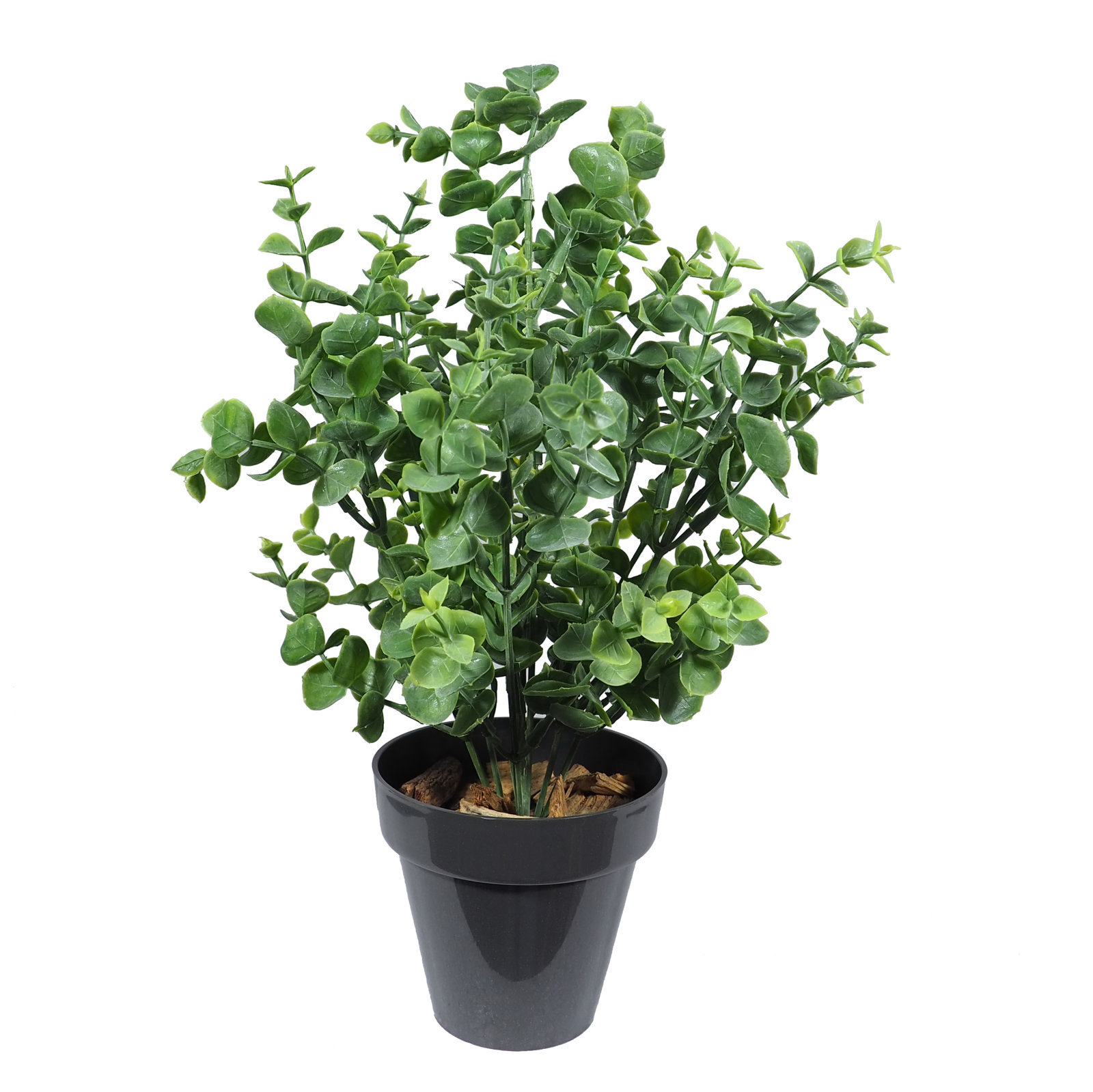1275700A.jpg Eucaliptus Verde / Gris Plástico con maceta -35cm - Imagen 1