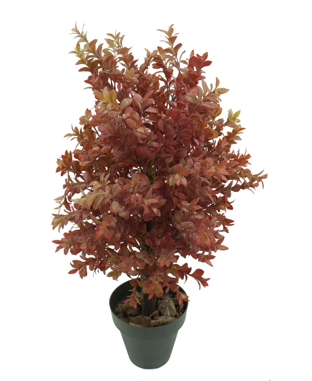 1275715C.jpg Boj rojo plastico con maceta -60cm. - Imagen 1