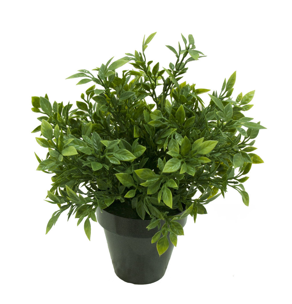1275720A.jpg Philo verde plastico con maceta -30cm. - Imagen 1