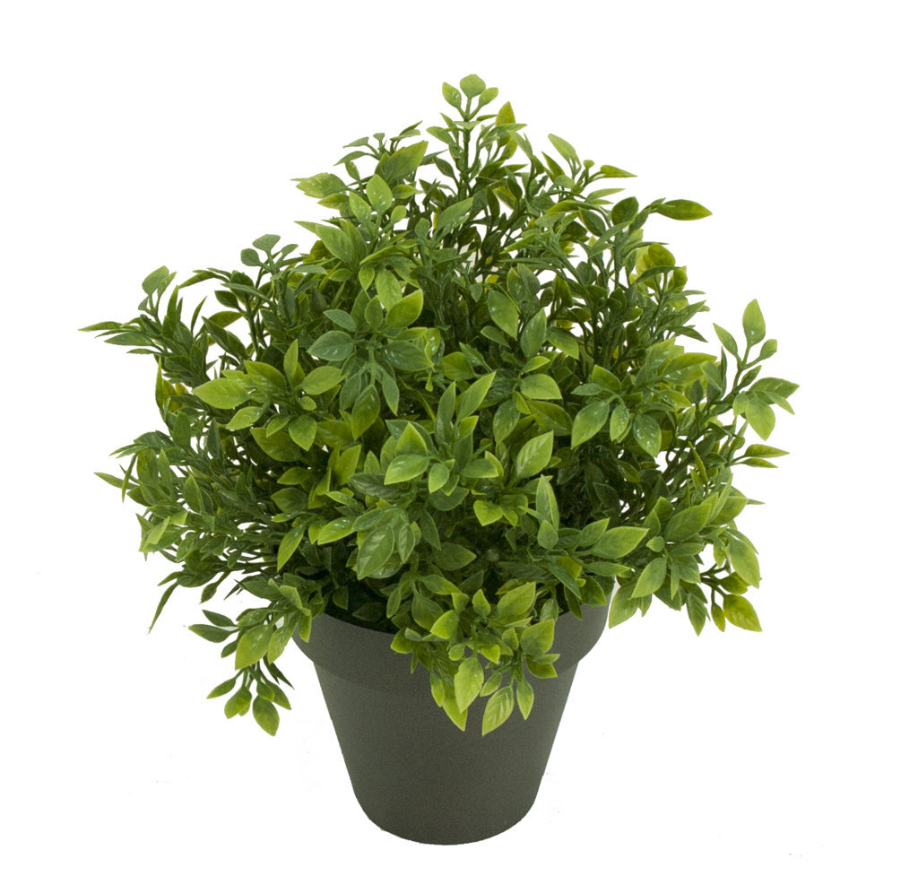 1275720B.jpg Philo verde plastico con maceta -30cm. - Imagen 1