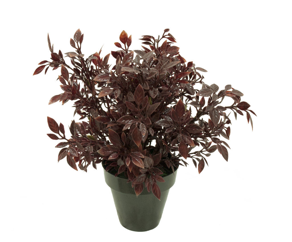 1275724A.jpg Philo marron plastico con maceta -30cm. - Imagen 1