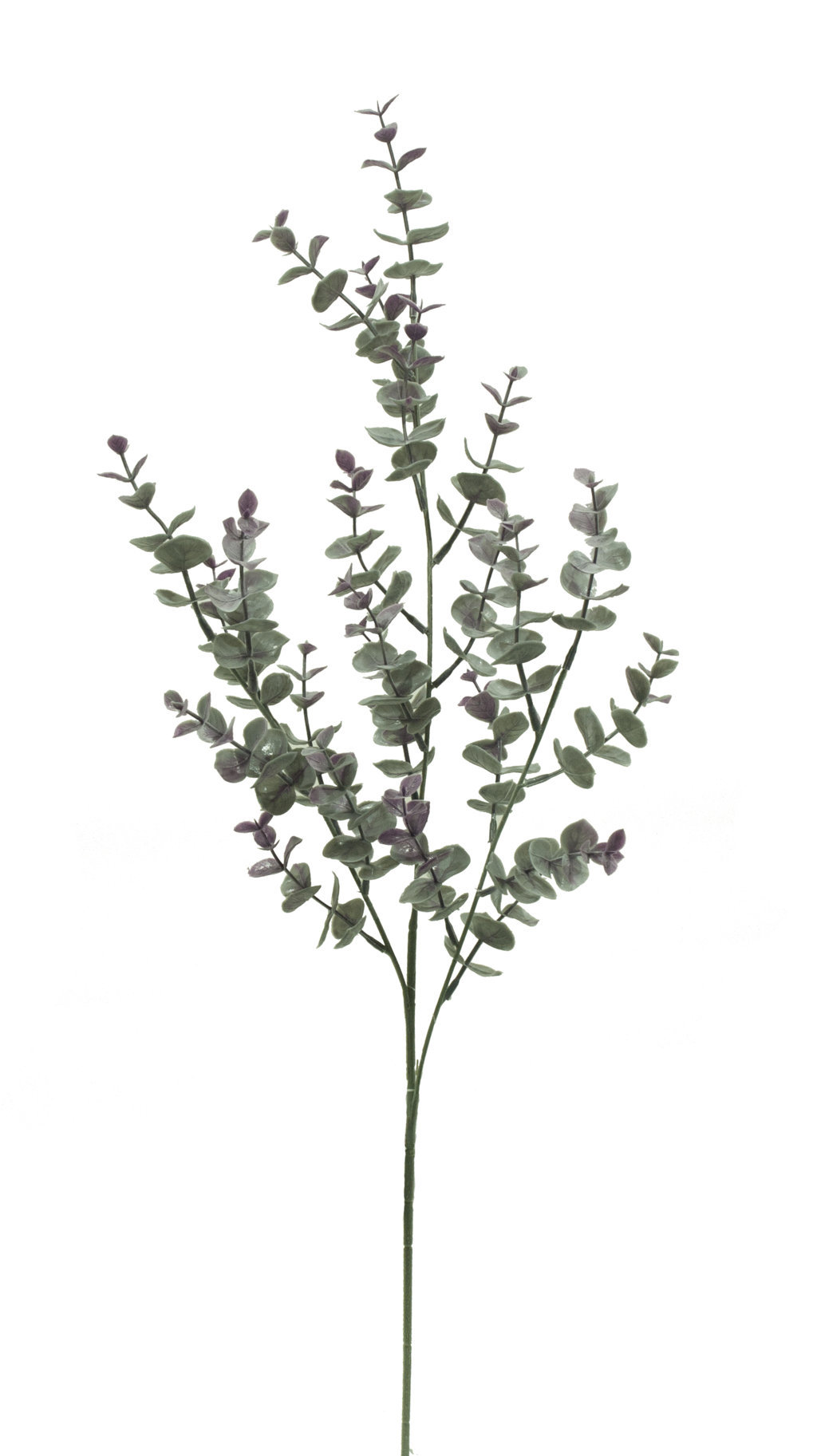 1275746.jpg Rama de Eucaliptus lavanda plastico - 70cm - Imagen 1