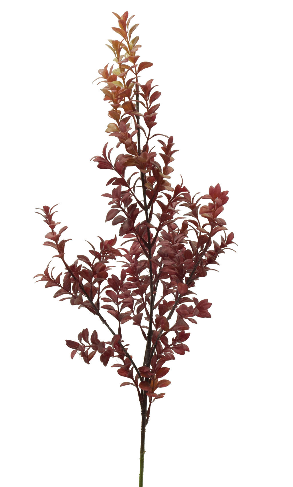 1275755.jpg Rama de Boj rojo plastico - 80cm - Imagen 1