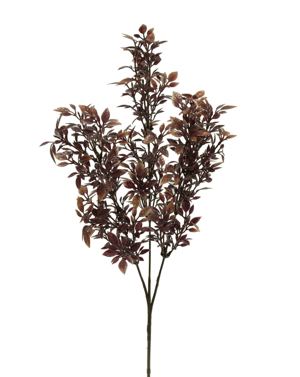 1275764.jpg Rama de Philo marron plastico - 70cm - Imagen 1