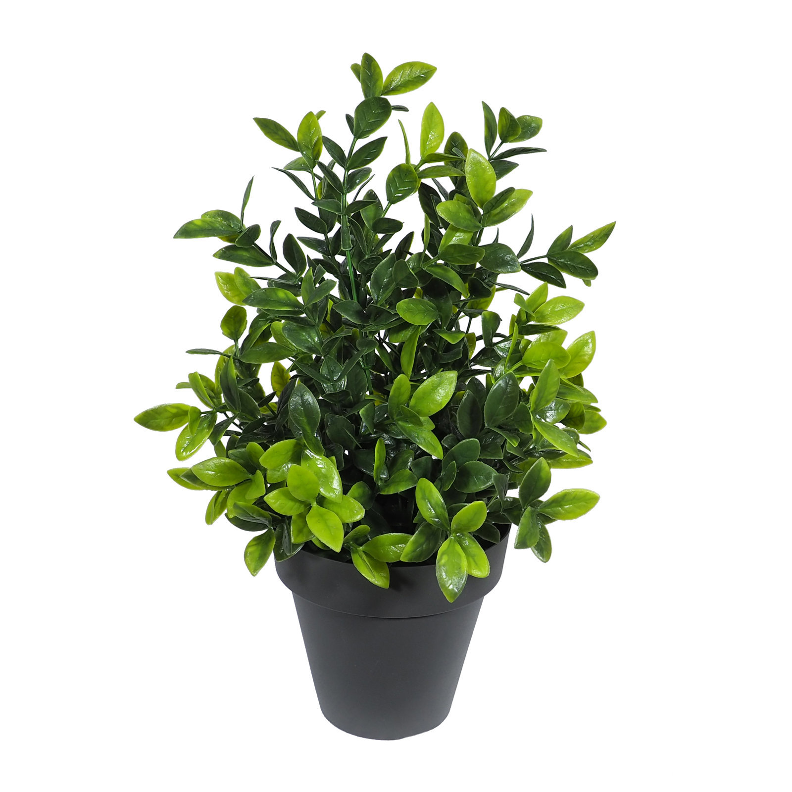 1275810B.jpg Philo Verde 40 cms. Con Maceta Ø14cms. - Imagen 1