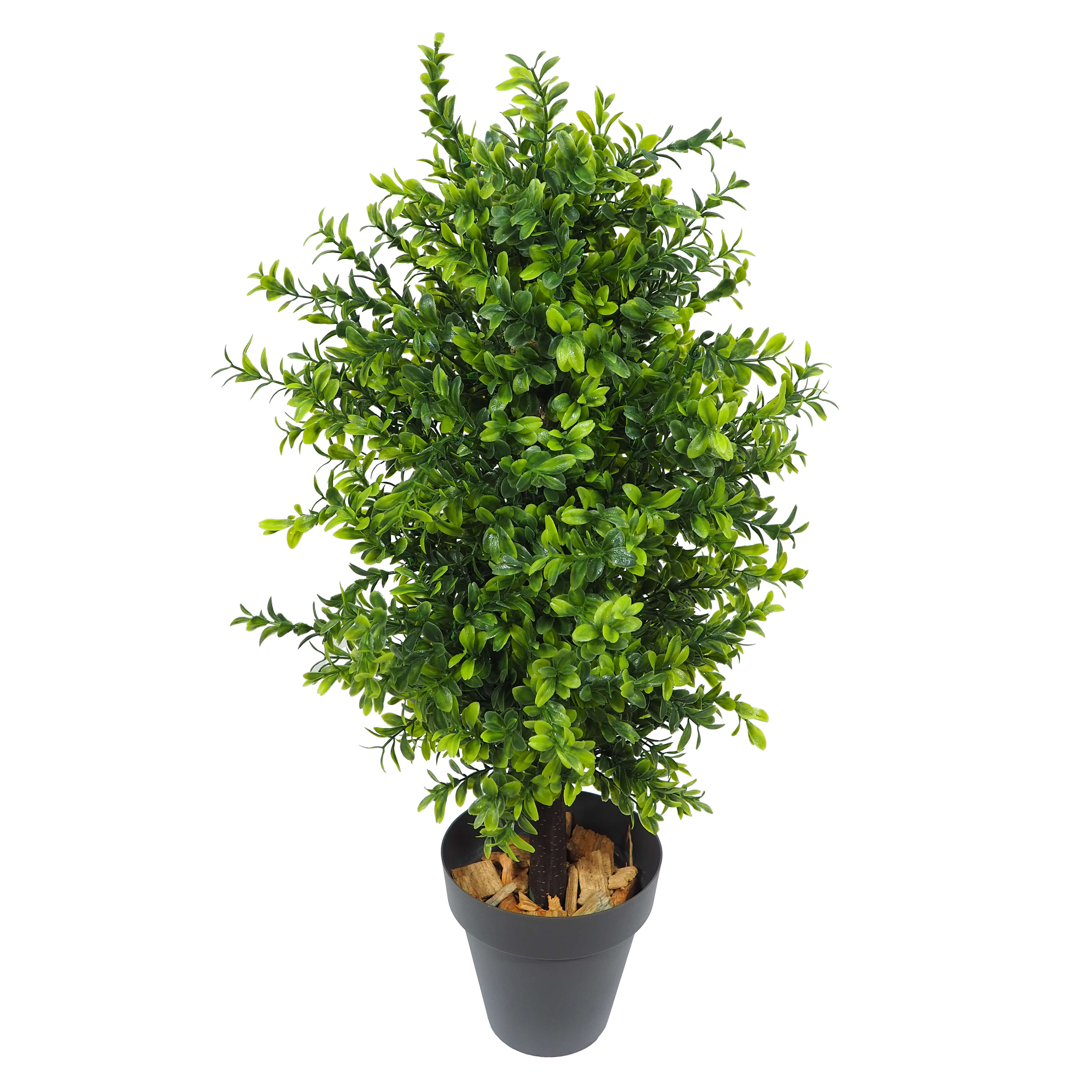 1275840C.jpg Buxus verde plastico 60cm - con maceta. - Imagen 1