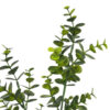 Rama de Eucaliptus verde plástico -60cm - Imagen 2