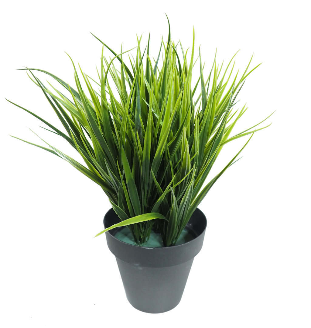 1275860B.jpg Hierba ancha verde plastico con maceta -40cm. - Imagen 1