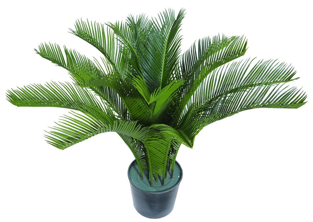 1275920A.jpg Cyca verde Luxe plastico con maceta - Ø80x60cm. - Imagen 1