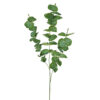 Vara Eucaliptus verde - 88cm.