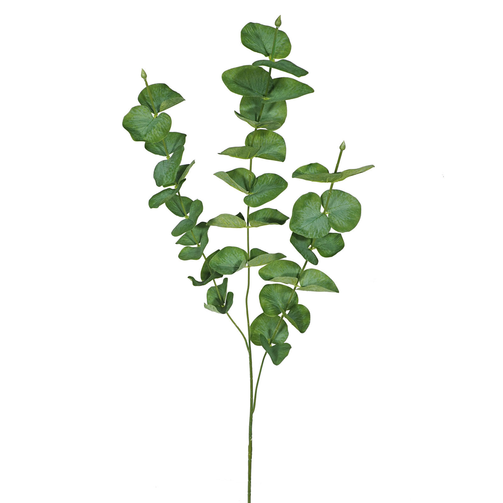 1276000.jpg Vara Eucaliptus verde - 88cm. - Imagen 1