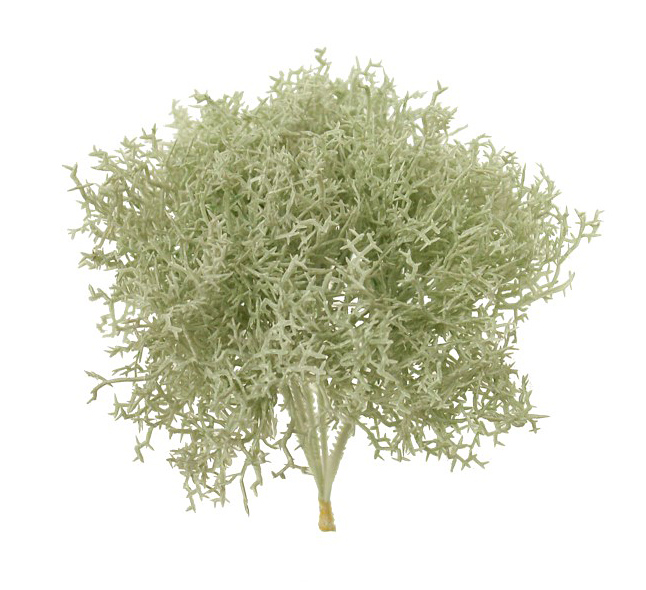 1290144U.jpg Pick de alga crema (6picks) - 20cm - Imagen 1