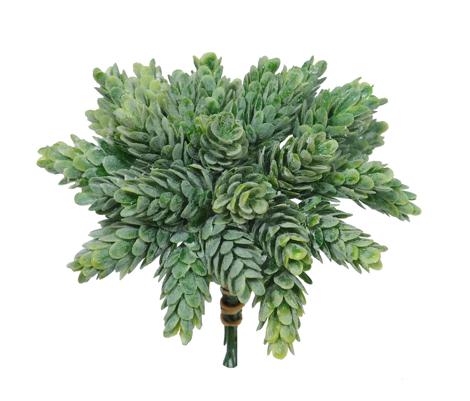 1290931.jpg Pick de Cactus piña/lupulo(6 picks) - 20cm - Imagen 1