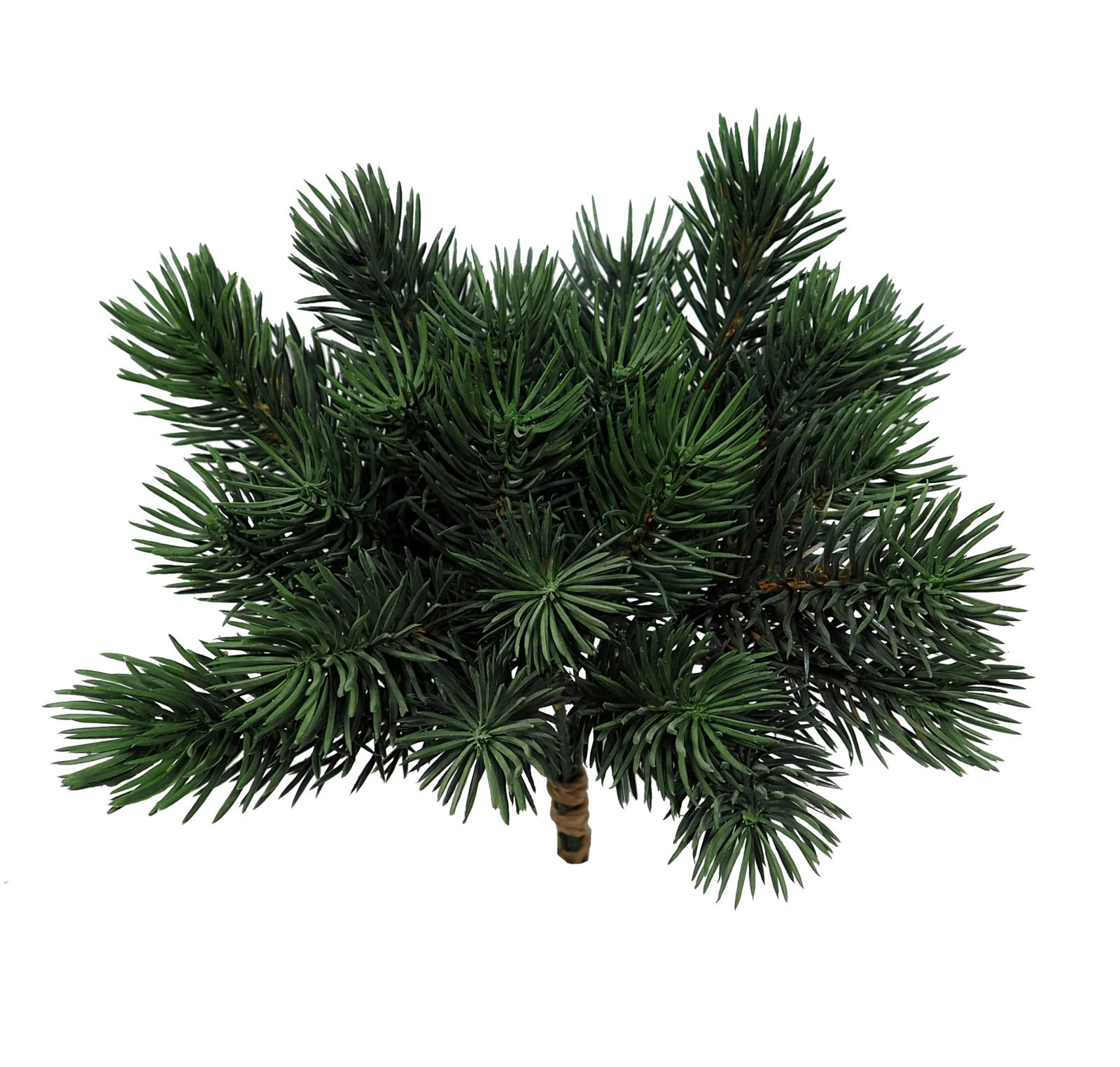 1291280.jpg Pick de Pino picea verde(6 picks) - 23cm - Imagen 1