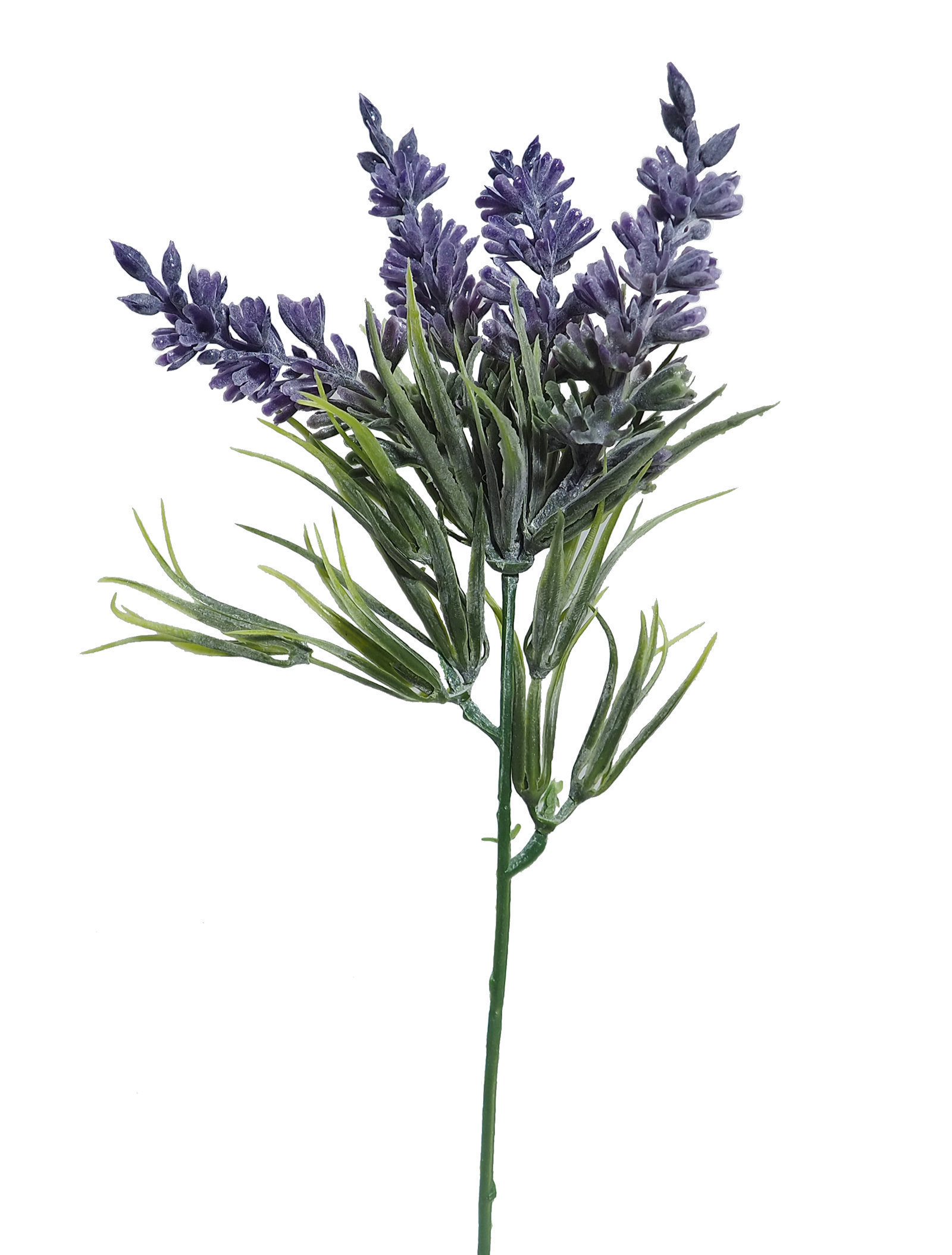 1291606.jpg Lavanda violeta - 13cm - Imagen 1