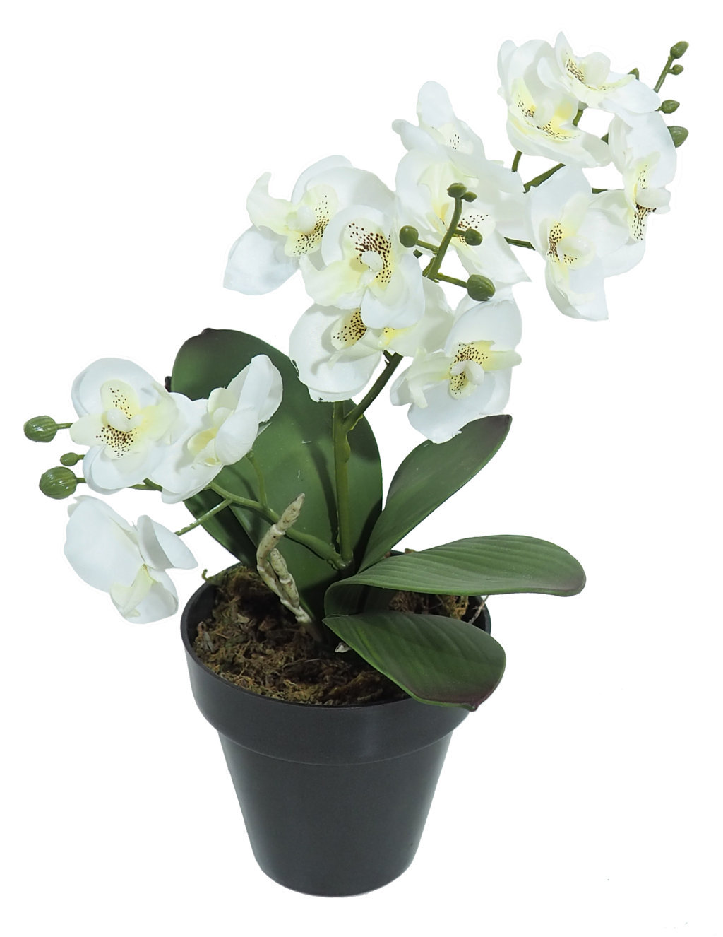 1291700A.jpg Orquidea mini crema - Ø10x35cm - Imagen 1