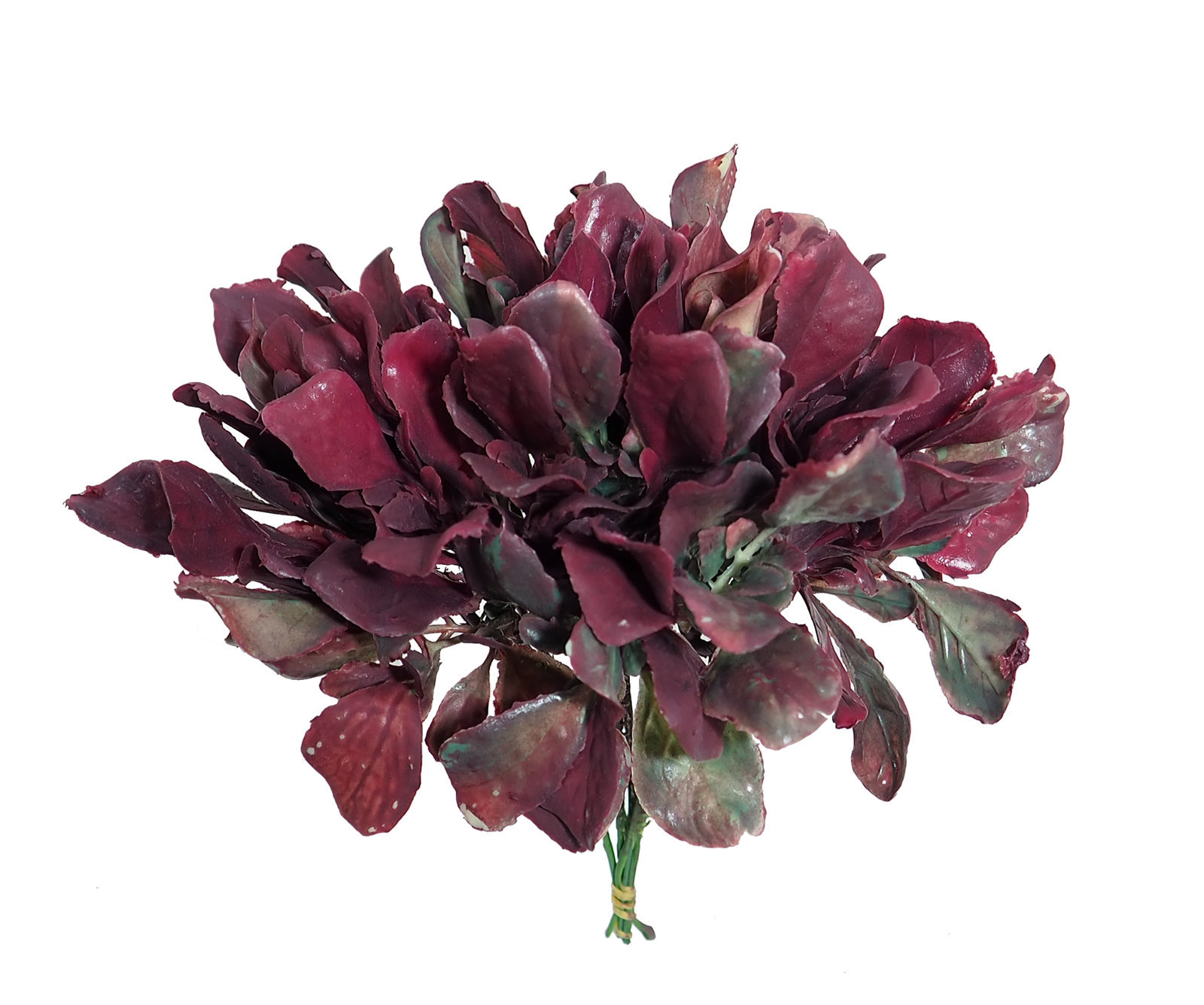 1291750.jpg Pick de lechuga roja(6 picks) - 19cm - Imagen 1
