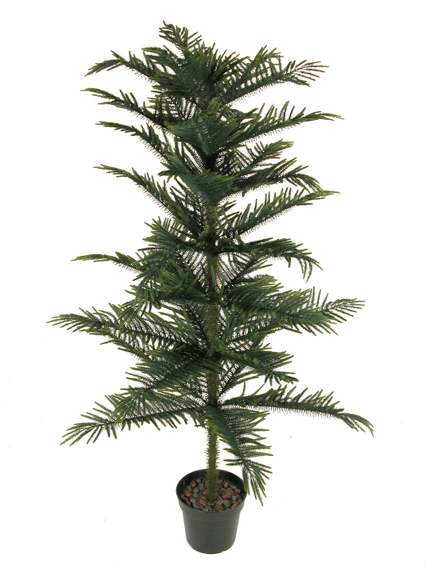 2111130.jpg Araucaria con maceta - 90cm - Imagen 1