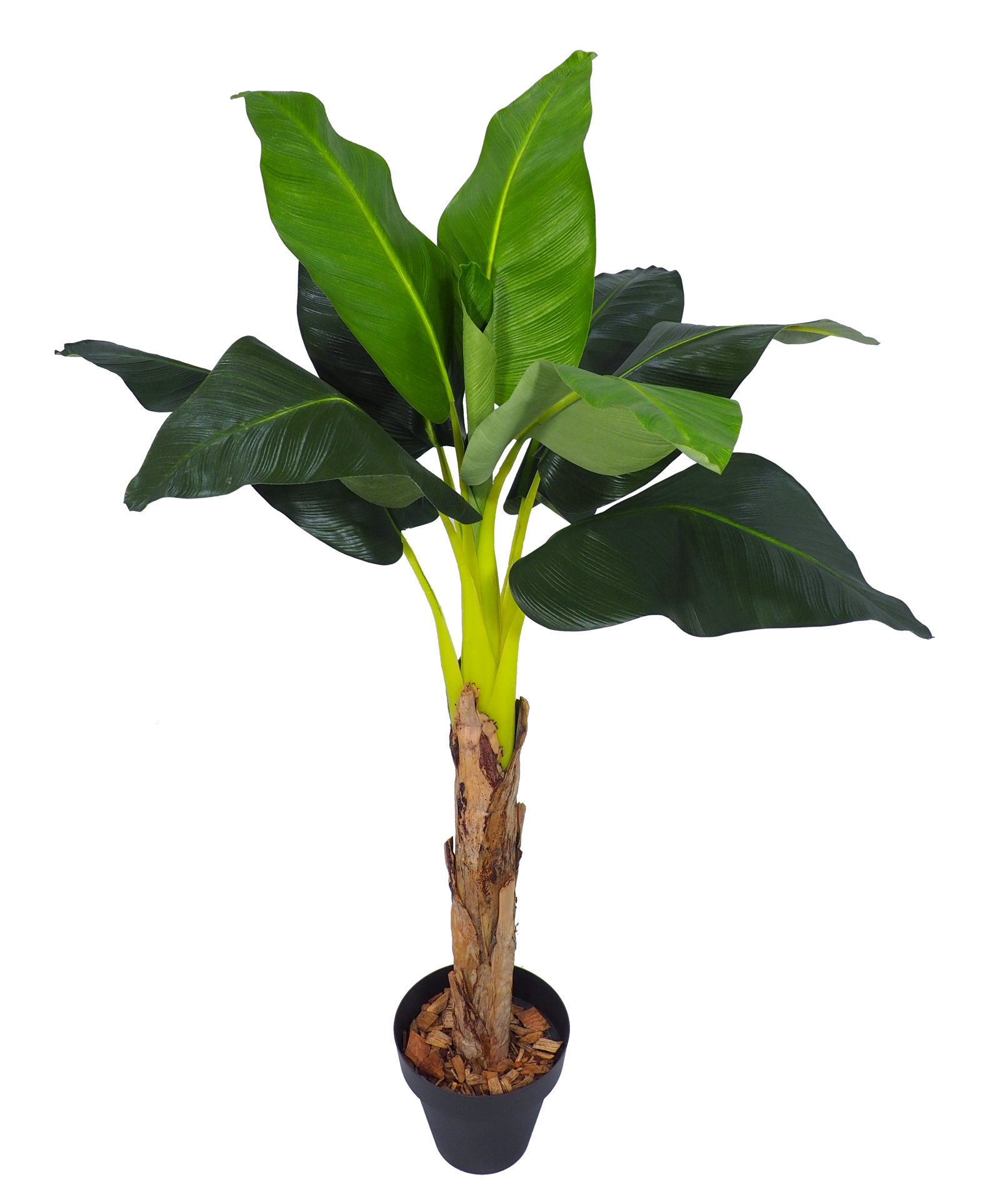 2111346A.jpg Bananero Republic Luxe con maceta - 135cm - Imagen 1