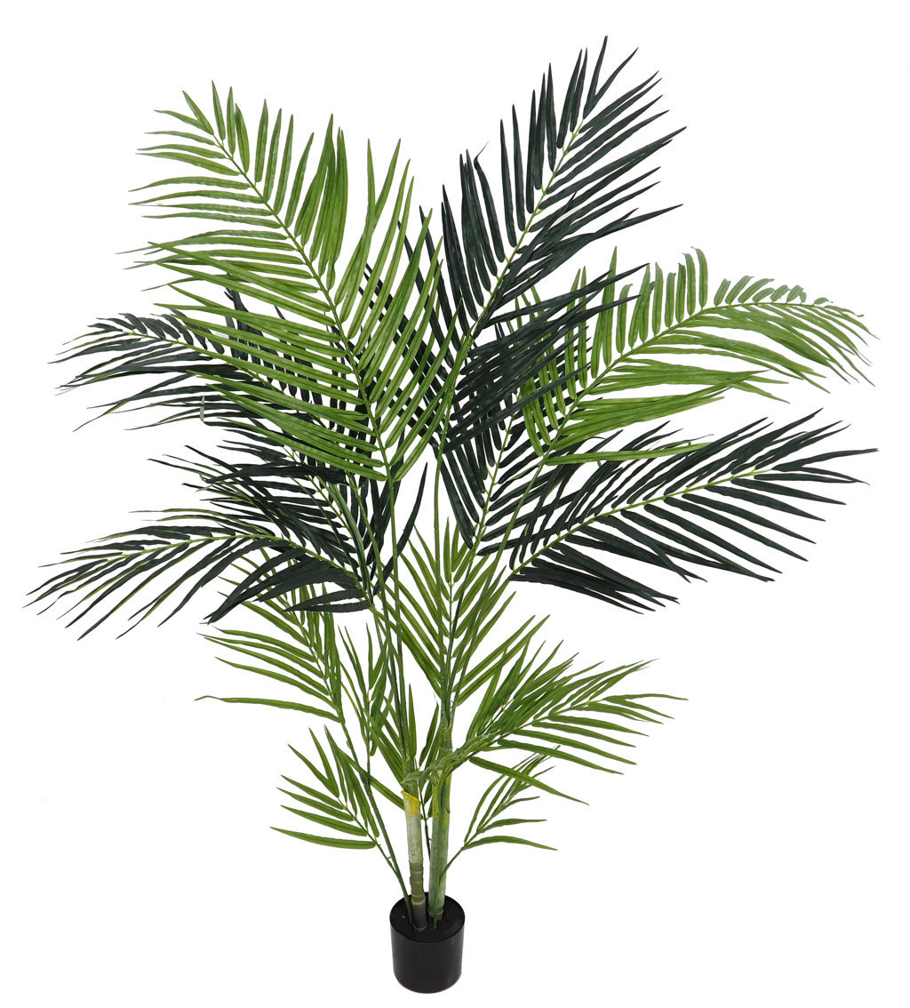 2117215.jpg Areca Oriental verde con maceta - Imagen 1