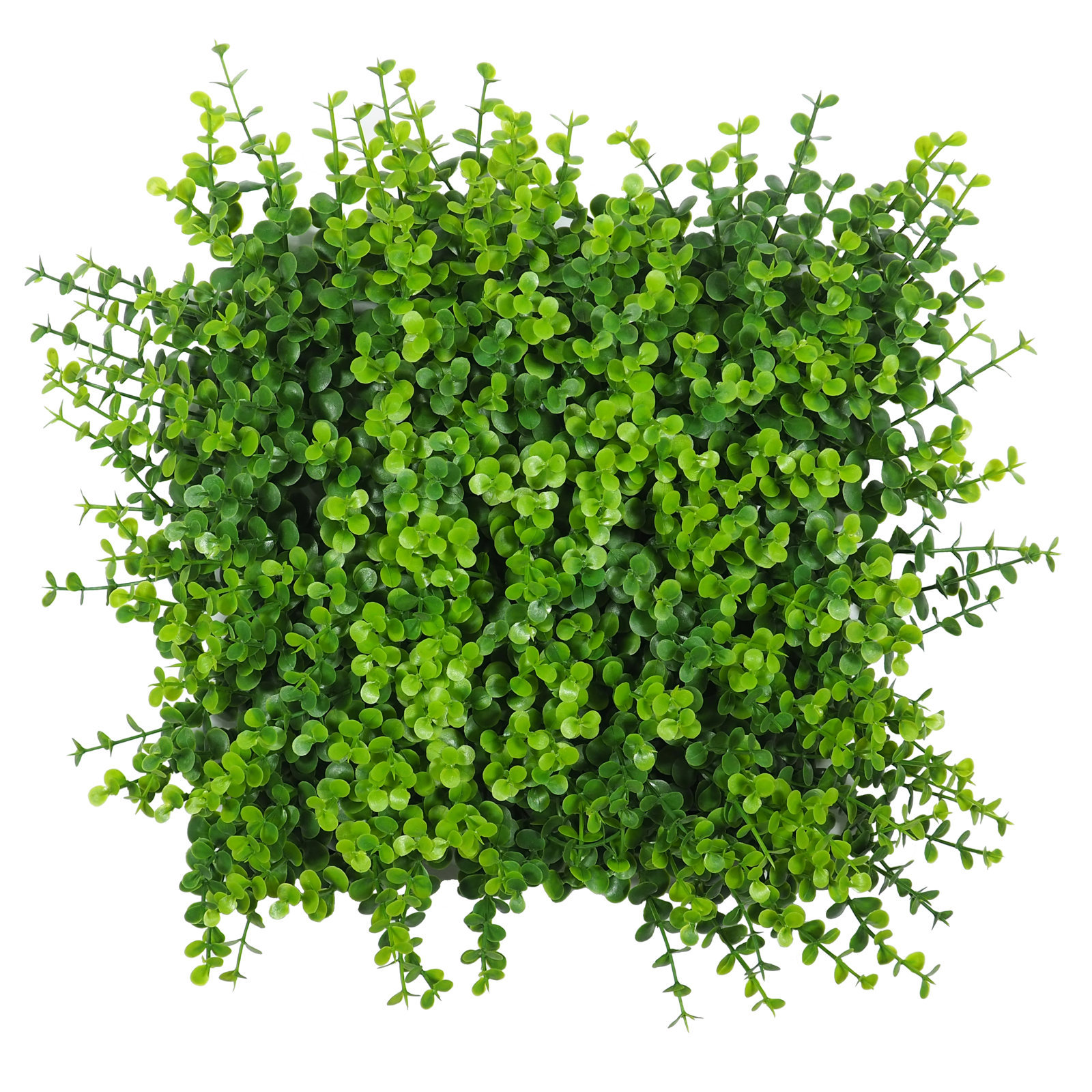 2515850.jpg Loseta de Eucaliptus mini plastico - 24x24x10cm - Imagen 1