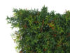 Loseta de romero verde plastico - 59x10x40cm. - Imagen 2