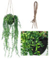 Senecio verde colgante con cesta - 70cm - Imagen 2